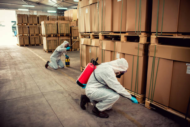 Best Local Pest Control Services  in St Leo, FL