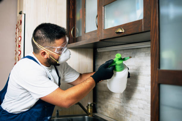 Professional Pest Control in St Leo, FL