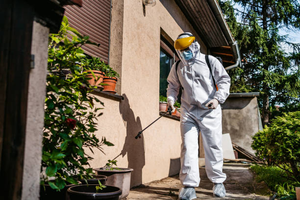 Best Commercial Pest Control Services  in St Leo, FL