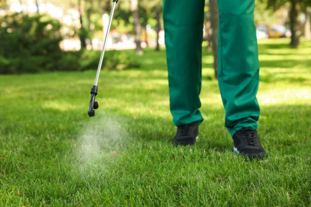 Best Bird Control  in St Leo, FL