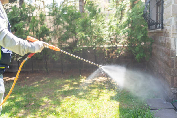 Best Best Pest Control Companies  in St Leo, FL
