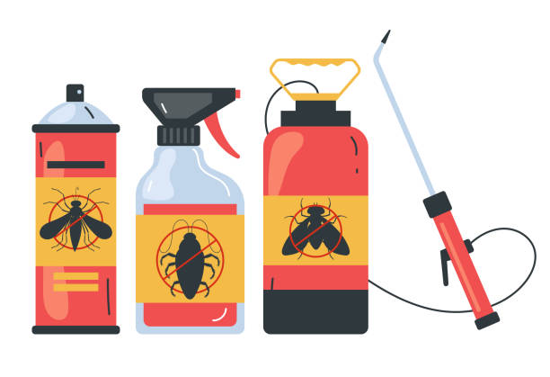 Best Spider Control Near Me  in St Leo, FL