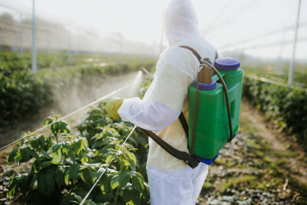 Best Termite Control Services  in St Leo, FL